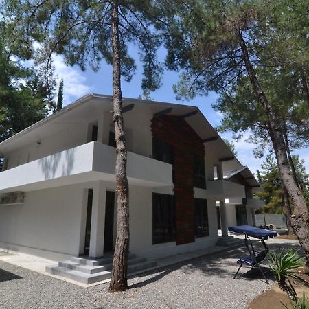 Hotel Apra Pizunda Exterior photo