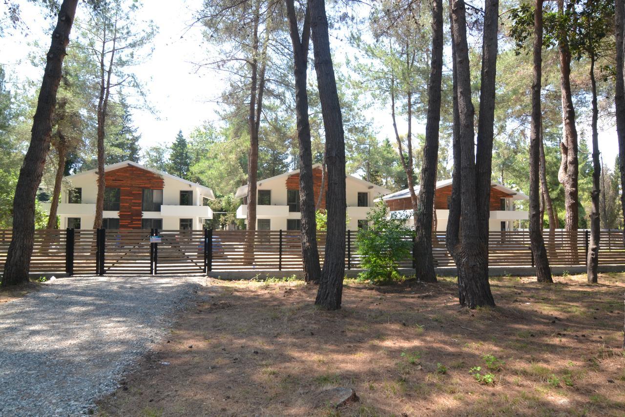 Hotel Apra Pizunda Exterior photo
